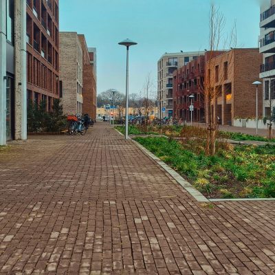 De Nieuwe Defensie nadert voltooiing – Poortwachter en Citadel als sluitstuk